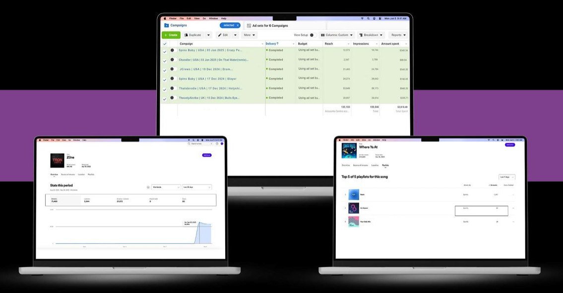 Meta ad campaigns and Spotify for Artists stats